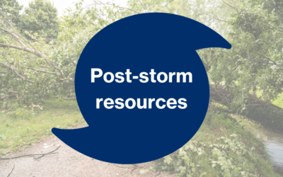 Disaster recovery resources