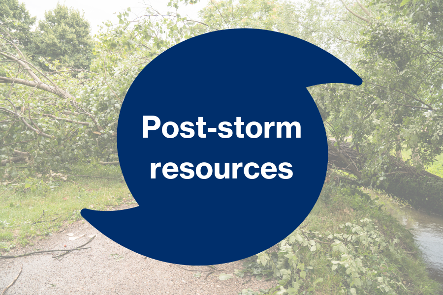 Disaster recovery resources