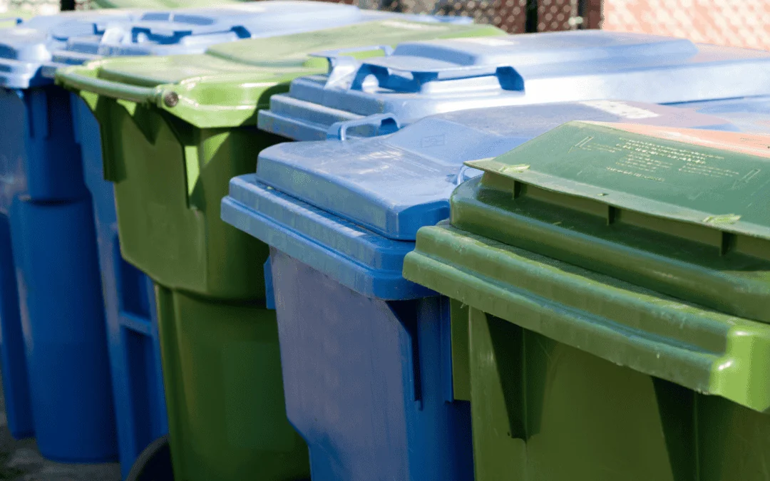 Let’s talk trash: Steps to give your waste bins a spa day