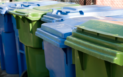 Let’s talk trash: Steps to give your waste bins a spa day