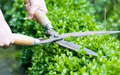 Tips for a smart start for your home this new year