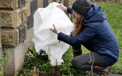 How to prepare your home for below-freezing temperatures