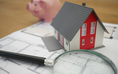 Housing Reframed: The Systems View Wading through the Impacts of Amendment 3